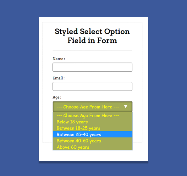 zend form select set selected option