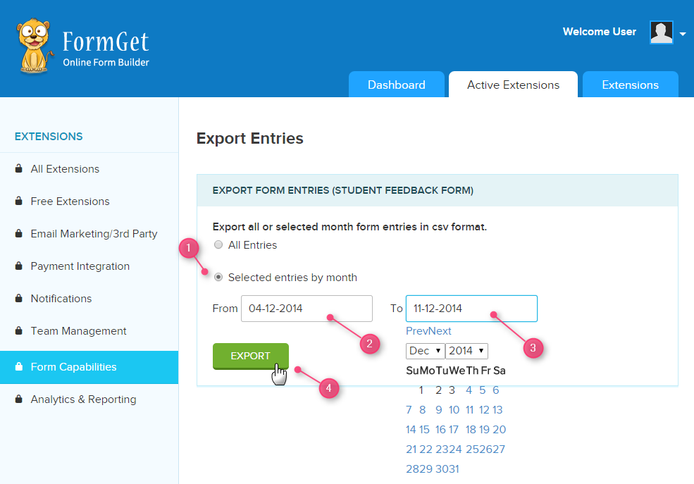 selected_form_entries_export_option