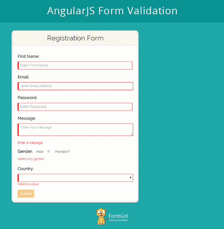 AngularJS Form Validation