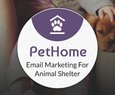 Email Marketing For Animal Shelters Thumbnail