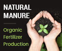 Email-Marketing-For-Organic-Fertlizers-Production-Thumb