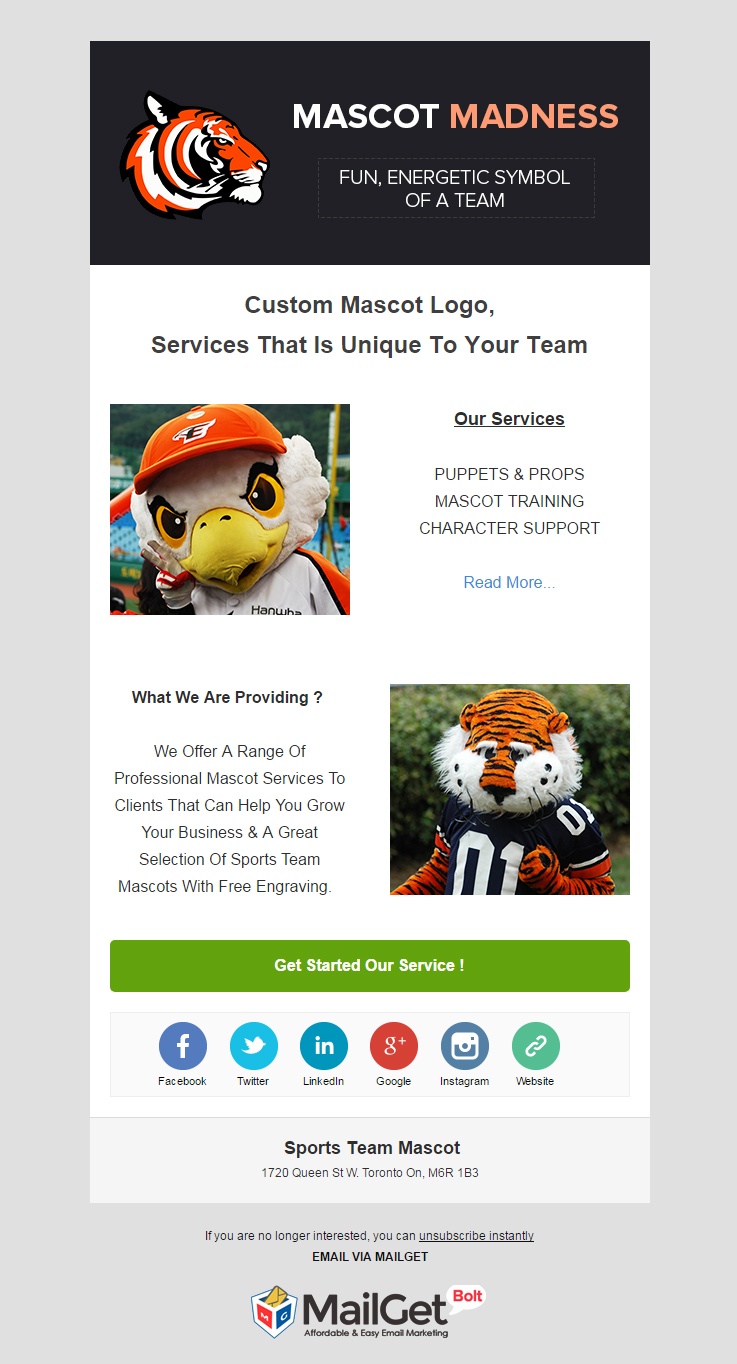 Email-Marketing-Service-For-Sports-Team-Mascot1