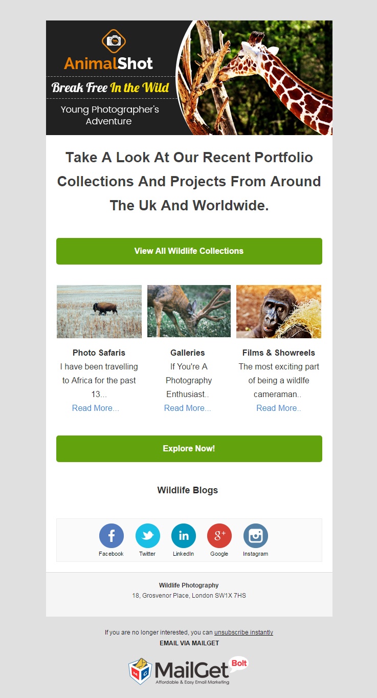 Email Marketing Service For Wildlife & Animal Photographers
