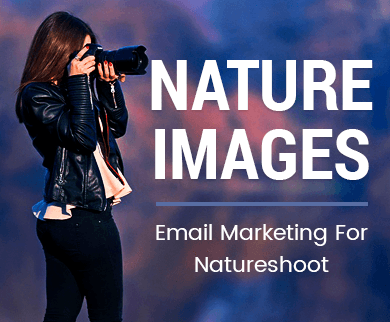 Email Marketing For Natureshoot