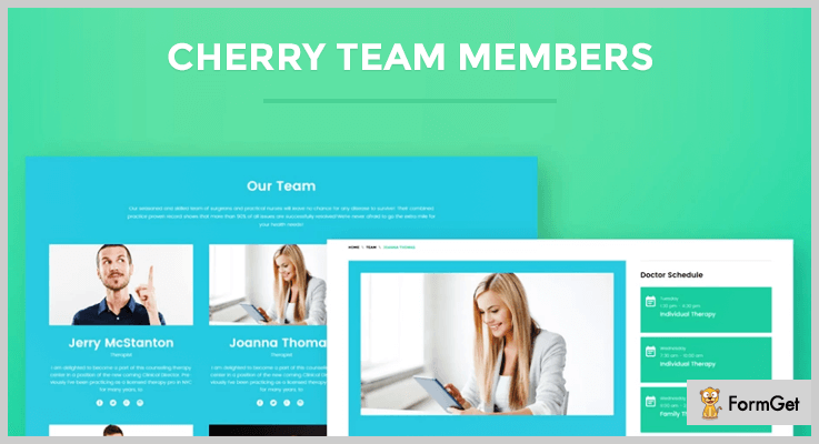 team members WordPress plugins