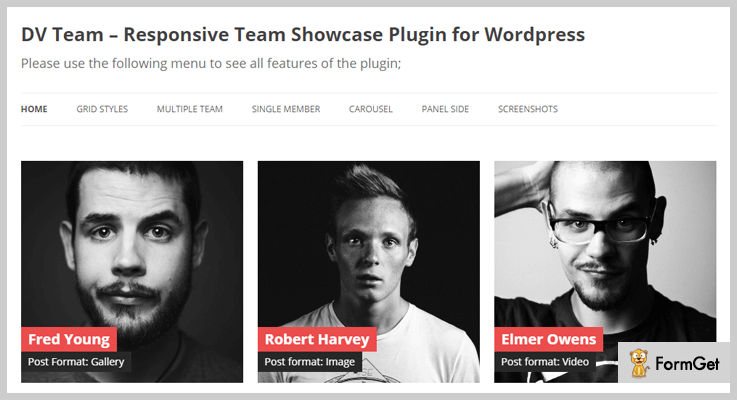 team members WordPress plugins