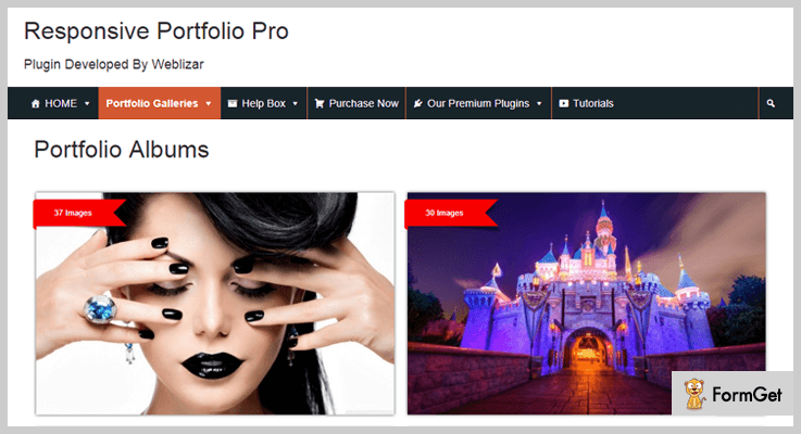 nimble3-Portfolio WordPress Plugins