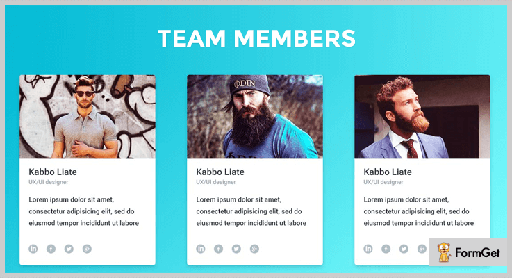 team members WordPress plugins