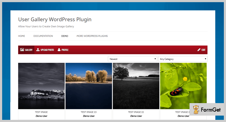  User Gallery WordPress Plugin