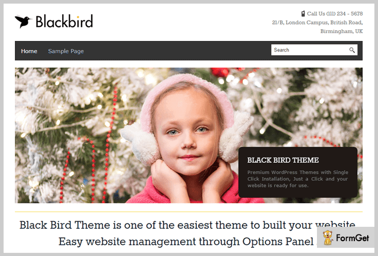 BlackBird News WordPress Themes