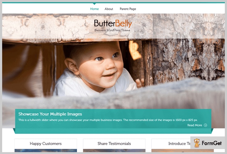 ButterBelly Tech WordPress Theme