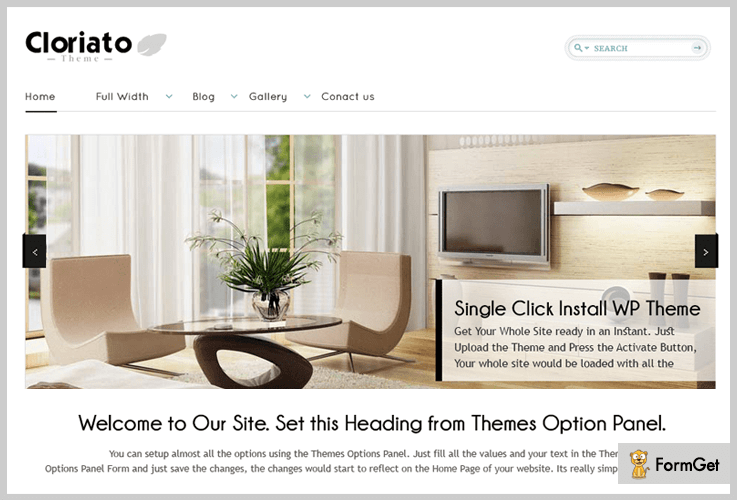 Cleaning WordPress Theme