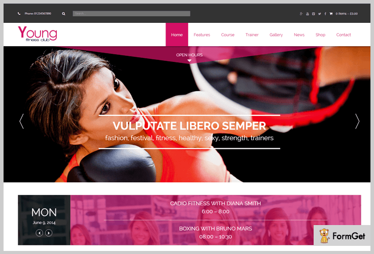 Young Fitness WordPress Theme