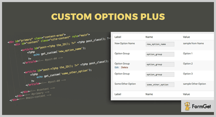 Custom Options Plus WordPress Options Plugin