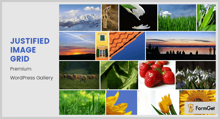 WordPress Plugins For Photographers