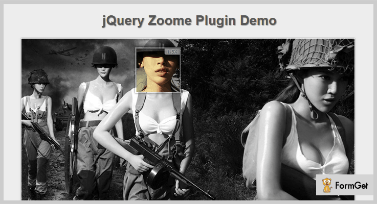 Zoome jQuery Image Zoom Plugins