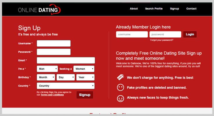 Fake dating website template