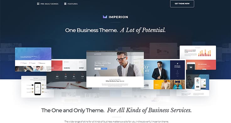 Business Marketing WordPress Theme