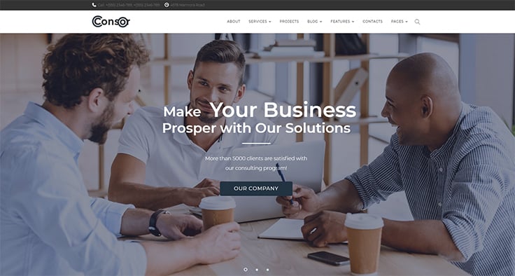 Consor - Business Consulting Elementor WordPress Theme